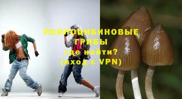 первитин Алексин