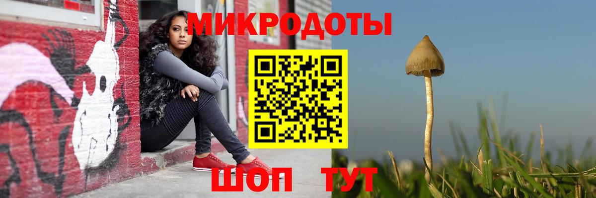купить   Вход с VPN  Псилоцибиновые грибы Psilocybine cubensis  Кинель  Псилоцибиновые грибы мицелий 